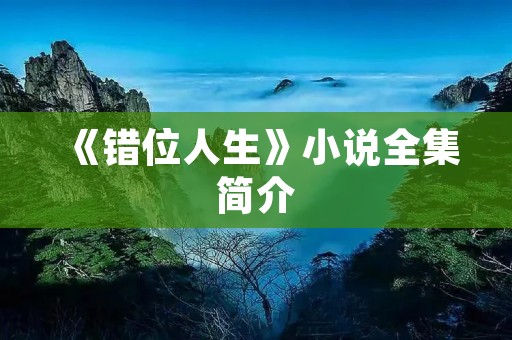 《错位人生》小说全集简介