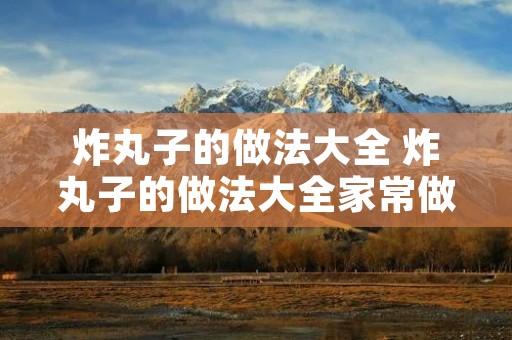 炸丸子的做法大全 炸丸子的做法大全家常做法