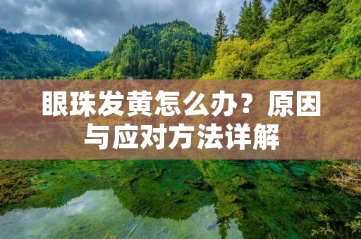 眼珠发黄怎么办?原因与应对方法详解 眼珠发黄怎么办?原因与应对方法详解