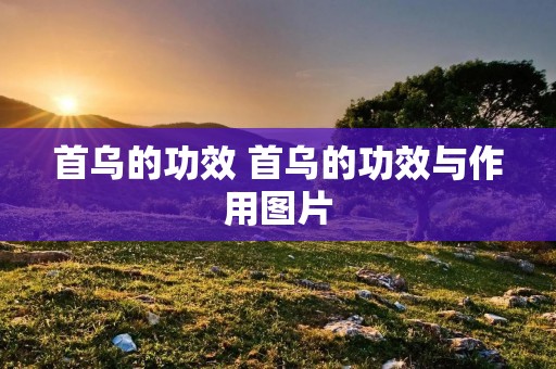 首乌的功效 首乌的功效与作用图片 首乌的功效 首乌的功效与作用图片