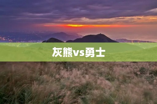 灰熊vs勇士:一场激烈的对决 灰熊vs勇士:一场激烈的对决
