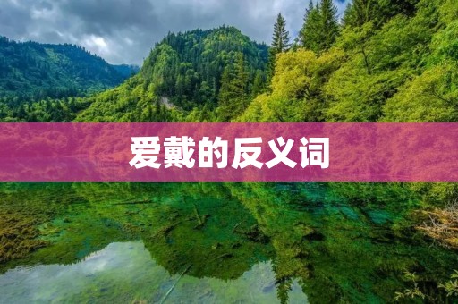 爱戴的反义词:传递友善与关怀的力量