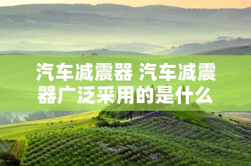 汽车减震器 汽车减震器广泛采用的是什么