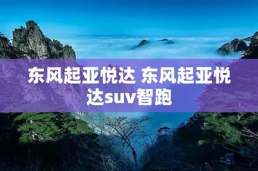 东风起亚悦达 东风起亚悦达suv智跑