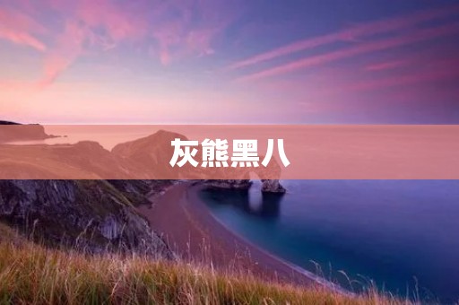 灰熊黑八:一段惊心动魄的野外探险之旅 灰熊黑八:一段惊心动魄的野外探险之旅