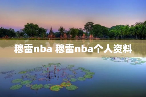 穆雷nba 穆雷nba个人资料