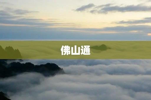 佛山通:连接你我,畅享便捷生活 佛山通:连接你我,畅享便捷生活