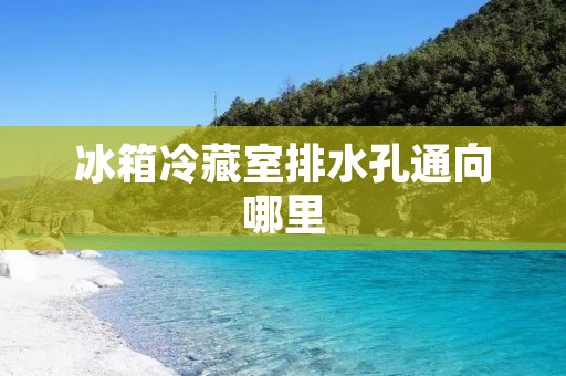 冰箱冷藏室排水孔通向哪里