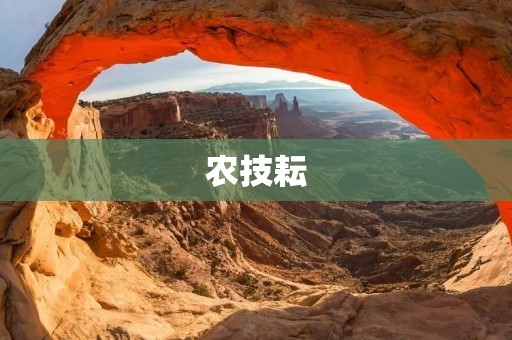 农技耘:助力农业发展的科技智慧 农技耘:助力农业发展的科技智慧