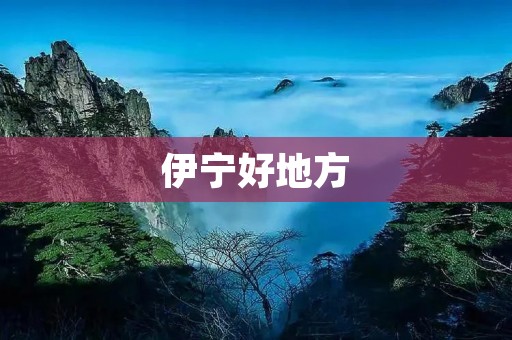 伊宁好地方：探索新疆美丽之城