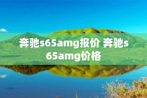 奔驰s65amg报价 奔驰s65amg价格