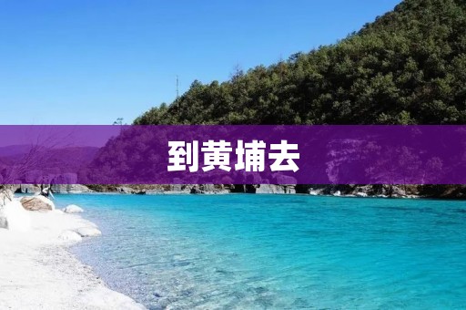 到黄埔去：探索广州的历史与现代之旅