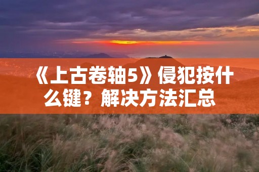 《上古卷轴5》侵犯按什么键?解决方法汇总