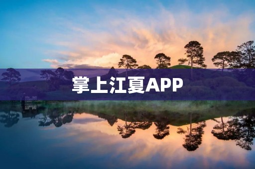 掌上江夏APP:便捷生活服务,让你轻松享受智慧城市 掌上江夏APP:便捷生活服务,让你轻松享受智慧城市