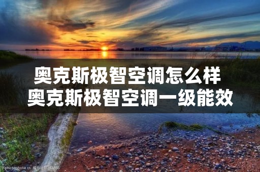 奥克斯极智空调怎么样 奥克斯极智空调一级能效怎么样 奥克斯极智空调怎么样 奥克斯极智空调一级能效怎么样