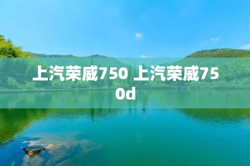 上汽荣威750 上汽荣威750d