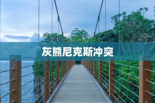 灰熊尼克斯冲突：一场激烈的对决