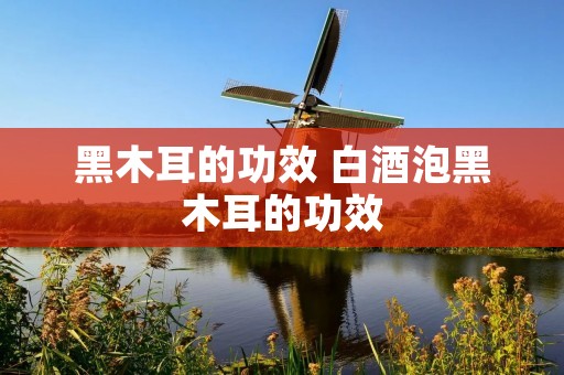 黑木耳的功效 白酒泡黑木耳的功效