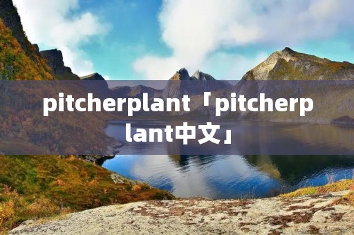 pitcherplant「pitcherplant中文」
