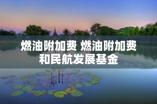 燃油附加费 燃油附加费和民航发展基金