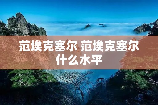 范埃克塞尔 范埃克塞尔什么水平