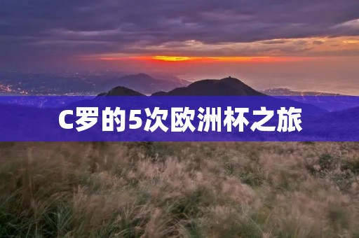 C罗的5次欧洲杯之旅：巅峰辉煌与不屈坚持