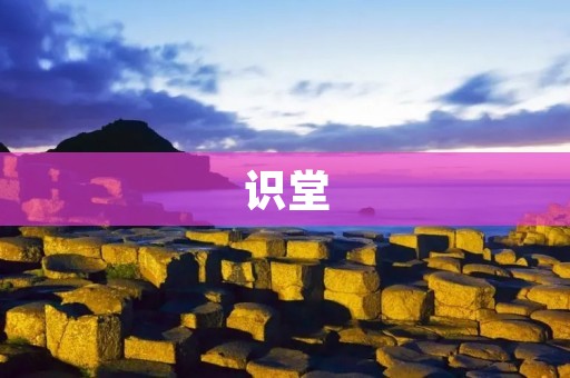识堂:颠覆传统教育的创新学习平台 识堂:颠覆传统教育的创新学习平台
