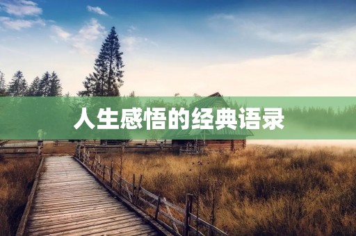 人生感悟的经典语录:探寻内心的智慧之光