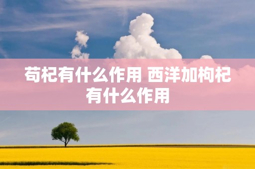 苟杞有什么作用 西洋加枸杞有什么作用