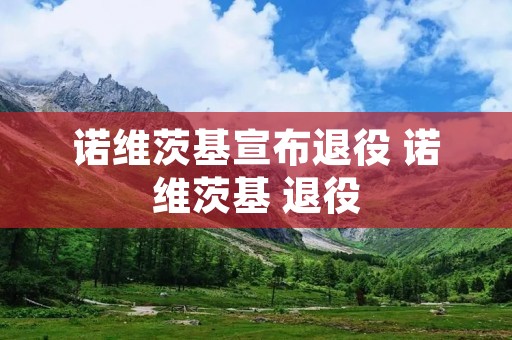 诺维茨基宣布退役 诺维茨基 退役 诺维茨基宣布退役 诺维茨基 退役