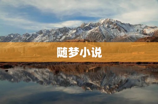 随梦小说：追寻心灵的自由之旅