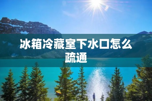 冰箱冷藏室下水口怎么疏通