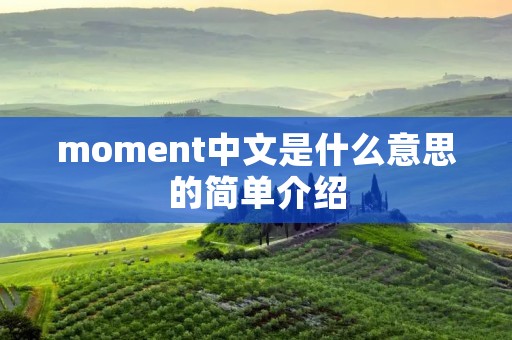 moment中文是什么意思的简单介绍