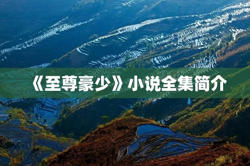 《至尊豪少》小说全集简介