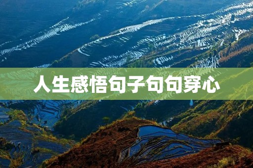 人生感悟句子句句穿心:深刻领悟生命的真谛 人生感悟句子句句穿心:深刻领悟生命的真谛