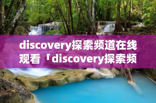 discovery探索频道在线观看「discovery探索频道怎么看」