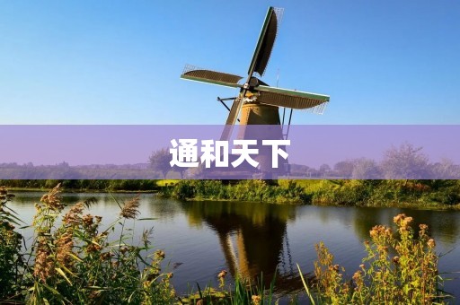通和天下：让信息无处不在的互联网时代