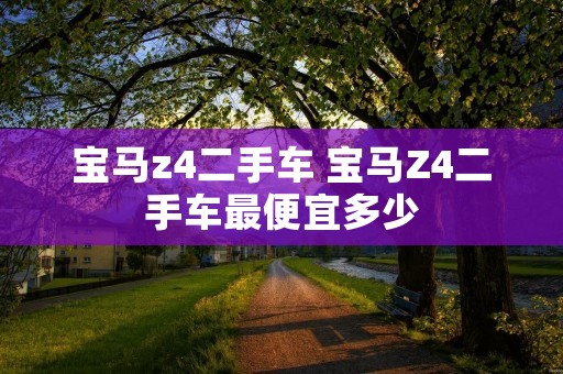 宝马z4二手车 宝马Z4二手车最便宜多少