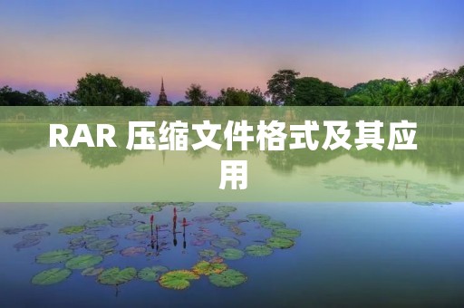 RAR 压缩文件格式及其应用