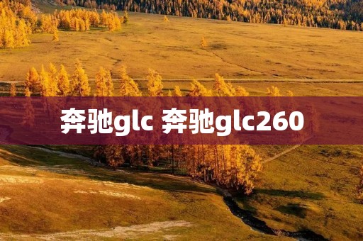 奔驰glc 奔驰glc260 奔驰glc 奔驰glc260