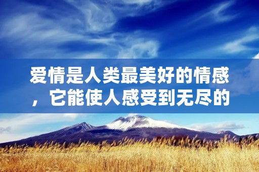 爱情是人类最美好的情感，它能使人感受到无尽的温暖和幸福。无论是在文学、电影、音乐还是生活中，我们都可以找到许多关于爱情的名言名句，它们深深地触动着我们的心灵，让我们更加珍惜身边的人和我们所拥有的幸福。