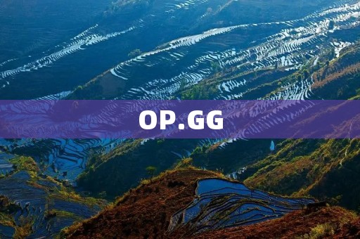 OP.GG：全球最大的英雄联盟数据分析平台