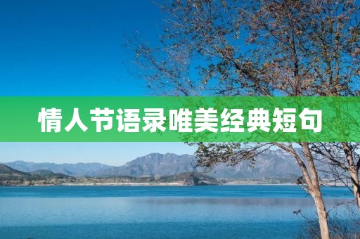 情人节语录唯美经典短句：让爱情在情人节绽放