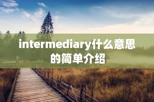intermediary什么意思的简单介绍