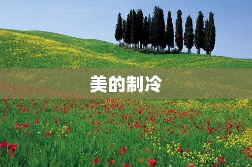 美的制冷:为您打造清凉舒适的家居环境