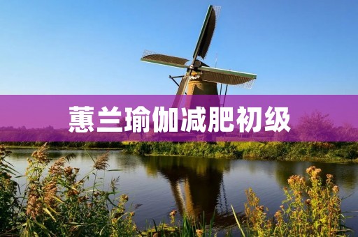 蕙兰瑜伽减肥初级：塑造完美身材的绝佳选择