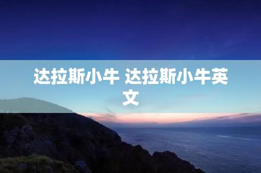 达拉斯小牛 达拉斯小牛英文