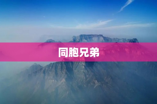 同胞兄弟：共同成长的情谊