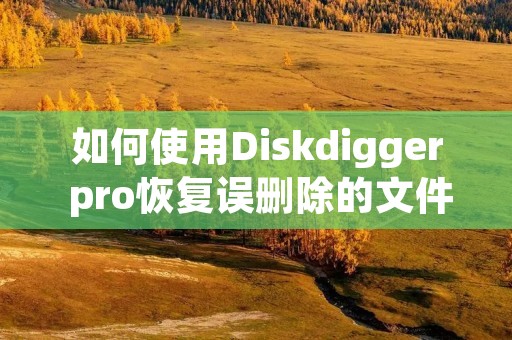 如何使用Diskdigger pro恢复误删除的文件？