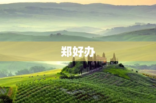 郑好办：让市民享受更便捷的政务服务